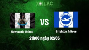 Nhận định bóng đá Newcastle United vs Brighton & Hove